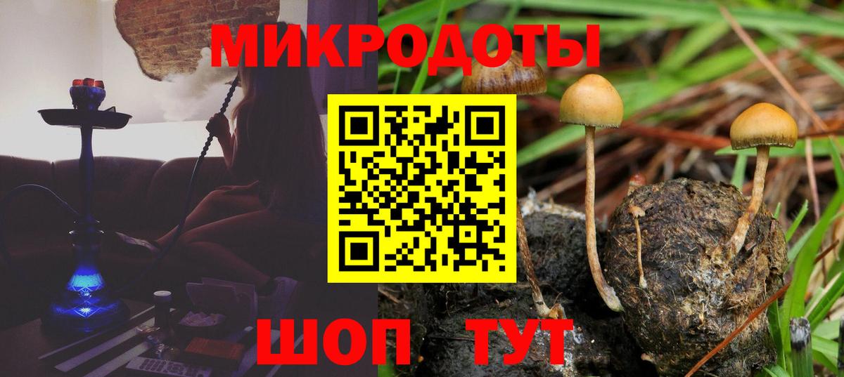 купить наркотики сайты  Вход с VPN  Галлюциногенные грибы Magic Shrooms  Елец  Псилоцибиновые грибы Cubensis 