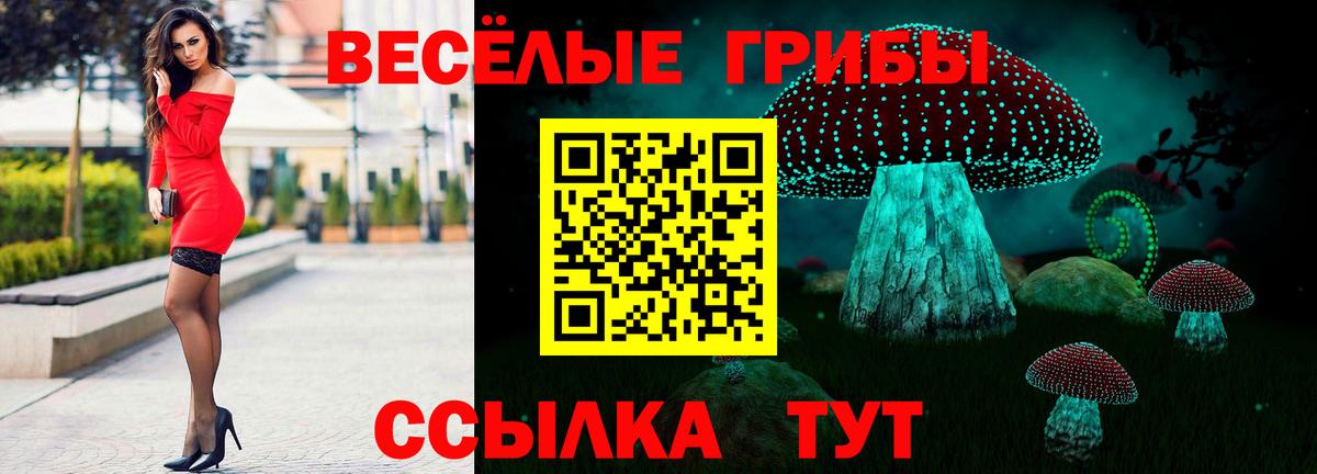 Псилоцибиновые грибы Psilocybine cubensis Елец
